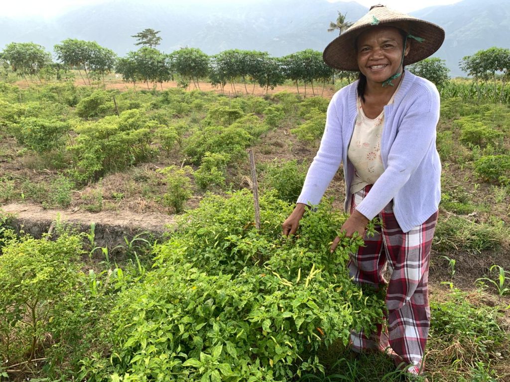 A smiling woman wearing a white sweater, plaid red pants, and a wide-brimmed sun hat stands in a field of chili bushes