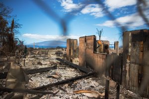 view through a chain link fence of burned homes in Lahaina