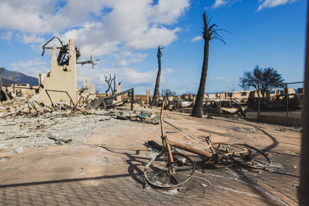 landscape of a lot destroyed by wildfire, including a burned bicycle in the foreground and a destroyed home and burned palm trees in the background