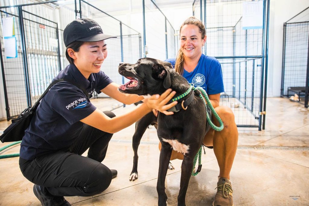 Two women, one wearing a dark blue Peace Winds polo and the other wearing a royal blue HARF t-shirt, smile while petting a dog