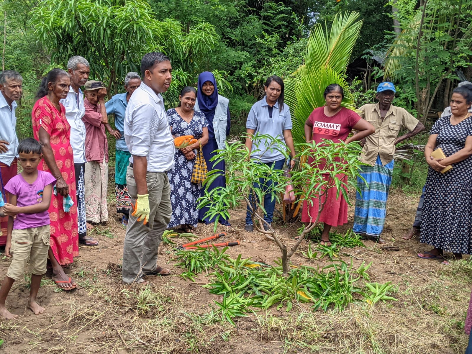 A group of Sri Lankan people wearing brightly colored clothing stand outside around a small tree with green leaves