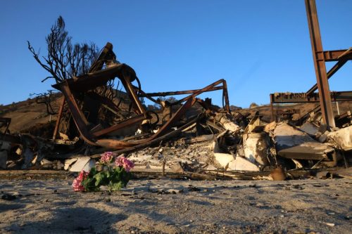 LA Wildfire Relief and Recovery